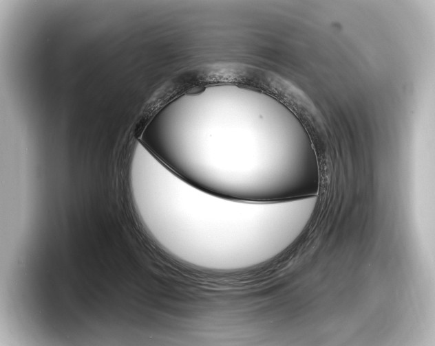 X0000098170312200804241015