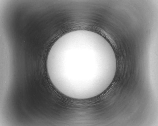 X0000098170313200804241015