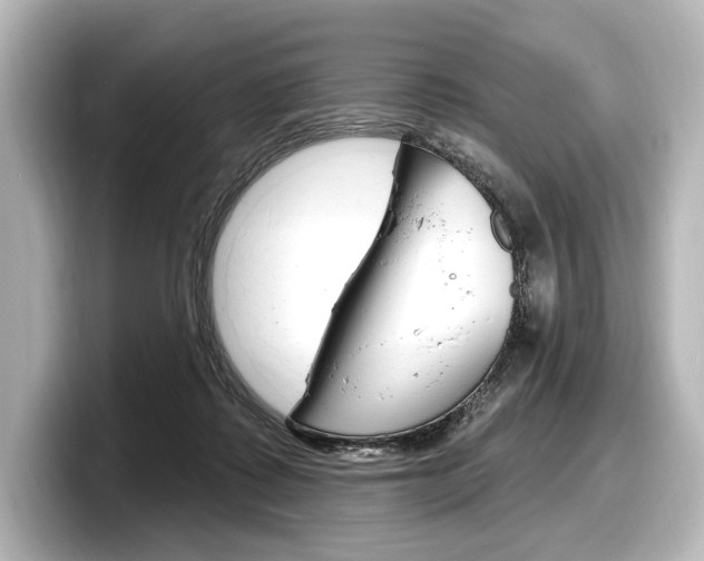 X0000098170315200804241015