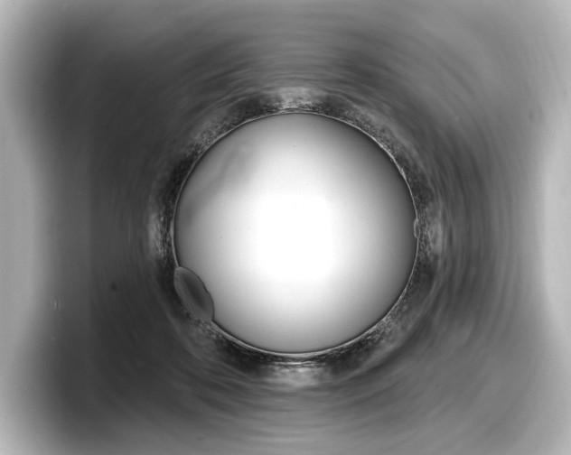 X0000098170316200804241015