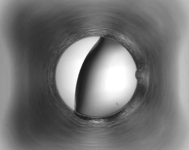 X0000098170317200804241015