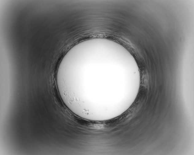 X0000098170318200804241015