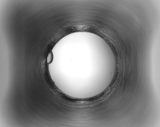 X0000098170319200804241015