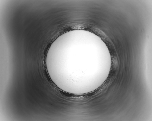 X0000098170322200804241015
