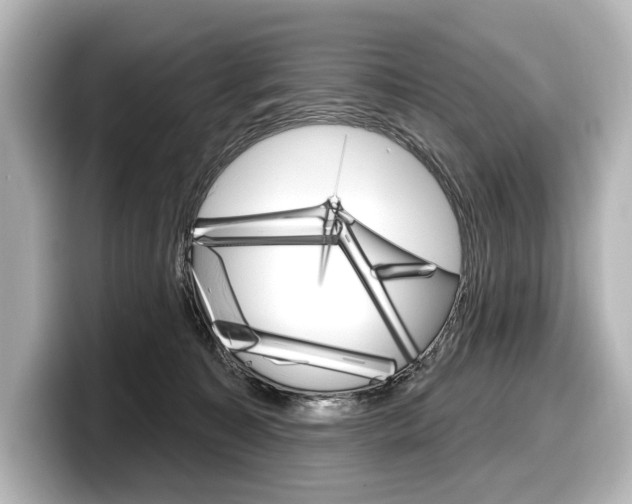 X0000098170323200804241015