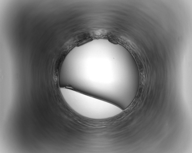X0000098170324200804241015