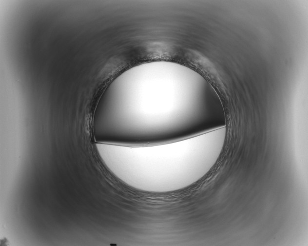 X0000098170325200804241015