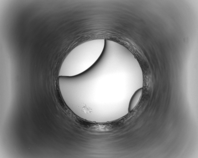 X0000098170326200804241015