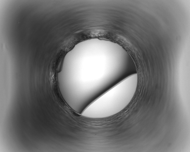 X0000098170327200804241015
