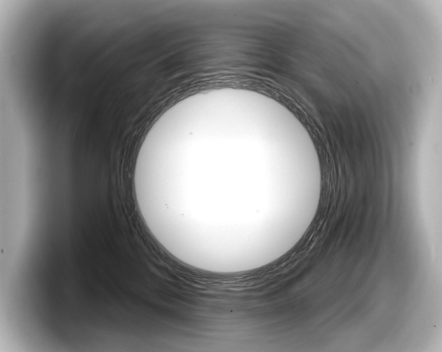 X0000098170328200804241015