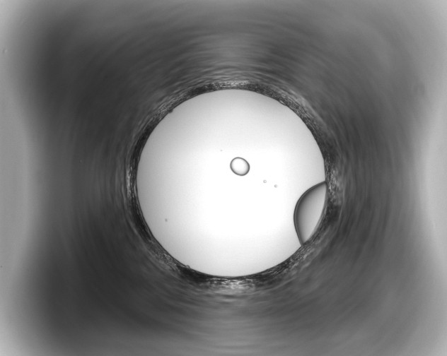 X0000098170330200804241015