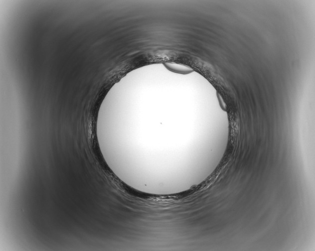 X0000098170331200804241015