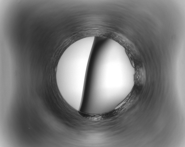 X0000098170333200804241015