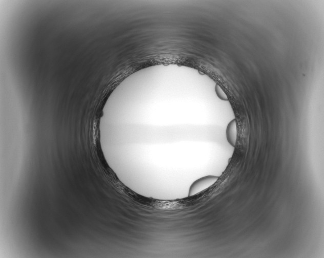X0000098170334200804241015