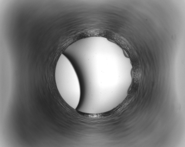 X0000098170335200804241015