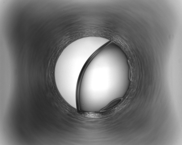 X0000098170336200804241015