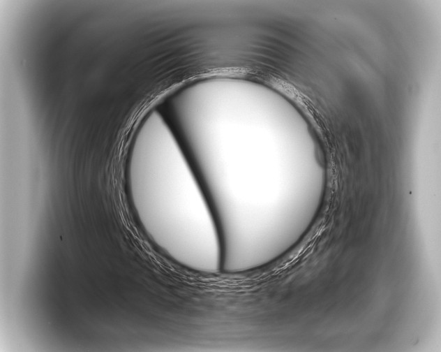 X0000098170337200804241014