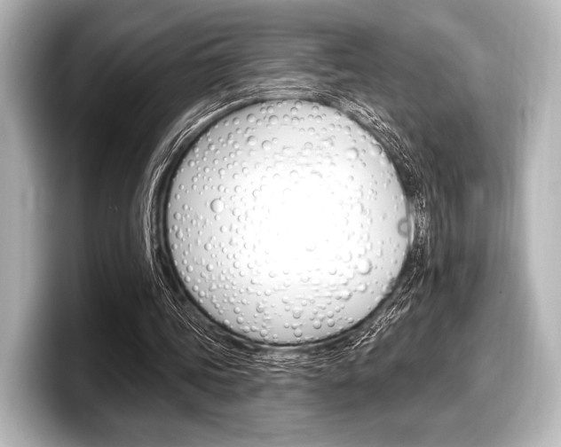 X0000098170339200804241014