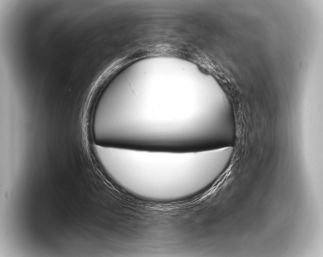 X0000098170341200804241014