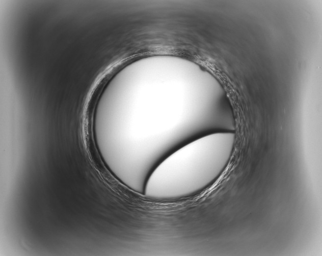 X0000098170342200804241014