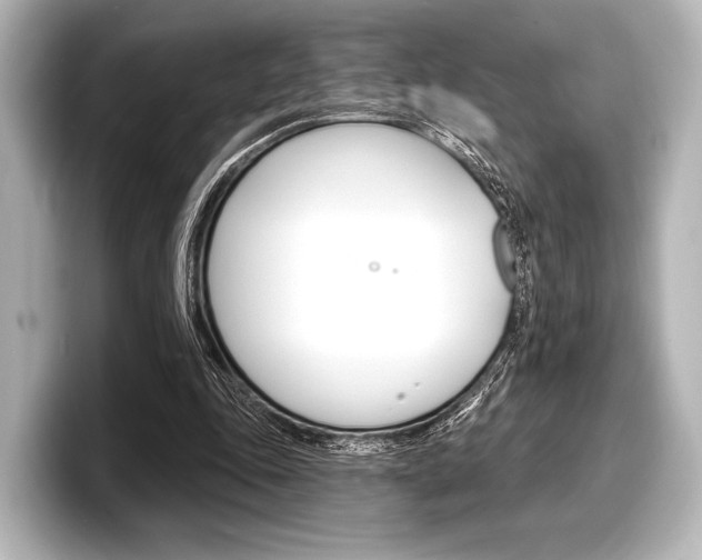 X0000098170343200804241014