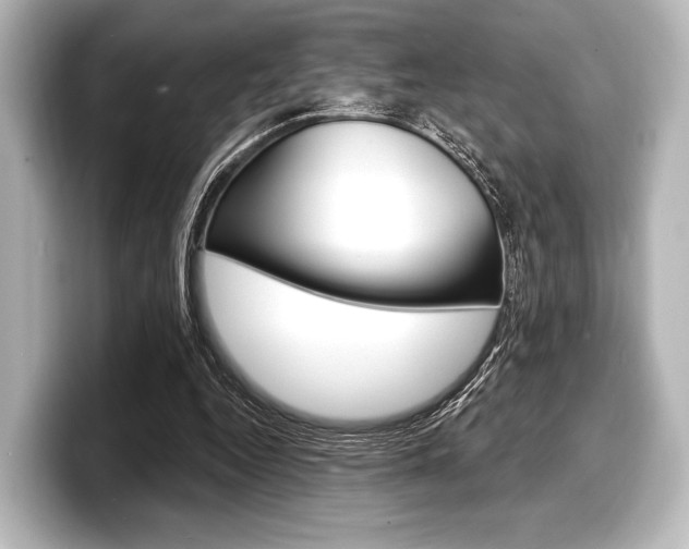 X0000098170344200804241014