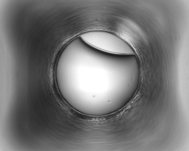 X0000098170345200804241014