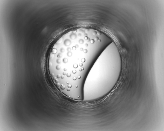X0000098170346200804241014