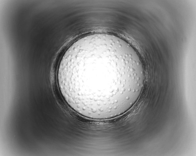 X0000098170347200804241014