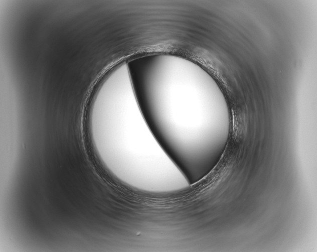 X0000098170348200804241014