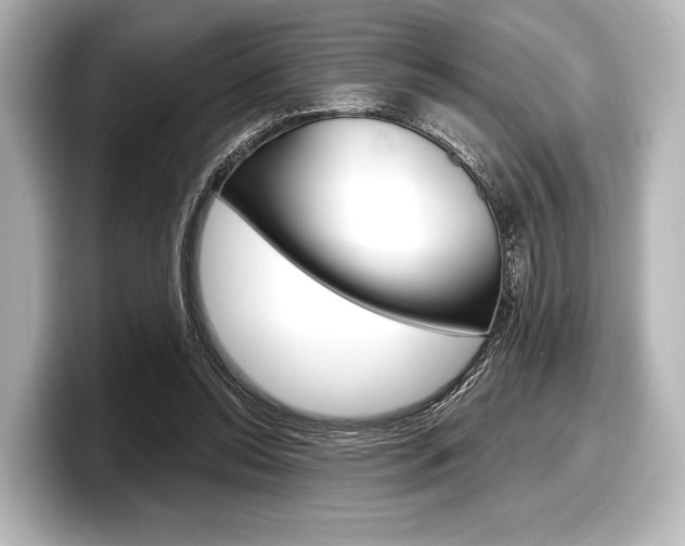 X0000098170350200804241014