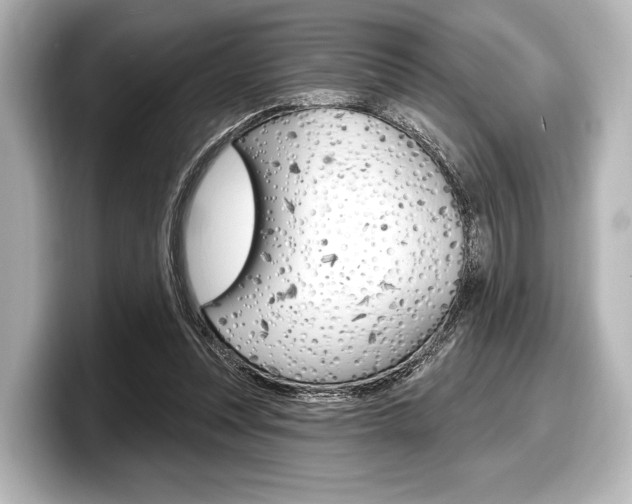 X0000098170351200804241014