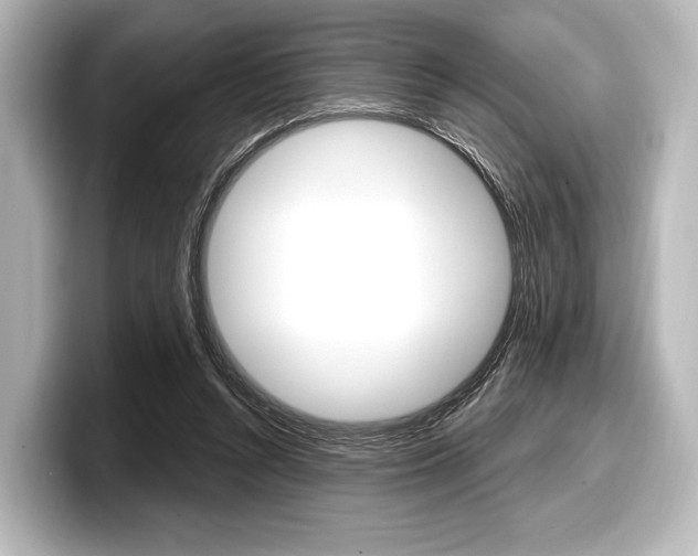 X0000098170352200804241014