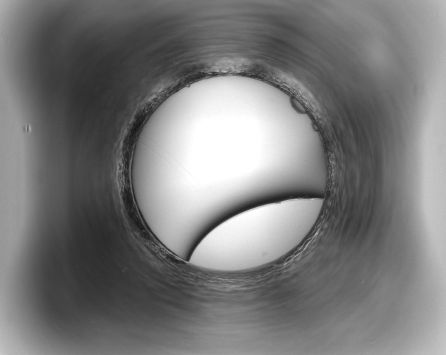 X0000098170354200804241014