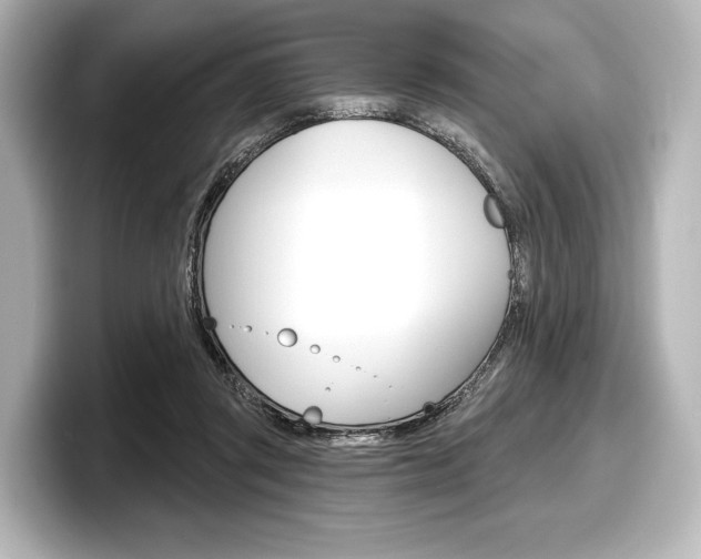 X0000098170357200804241014