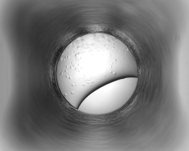 X0000098170359200804241014
