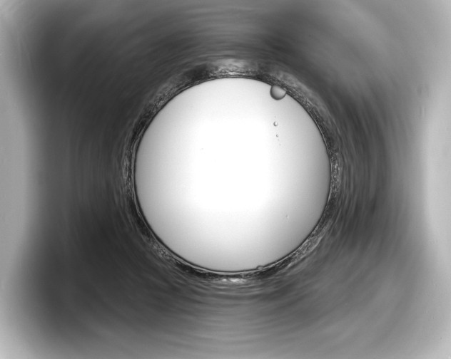 X0000098170361200804241014