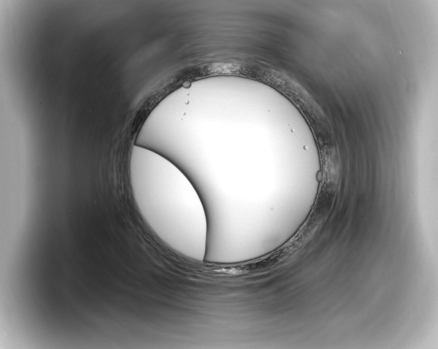 X0000098170363200804241014