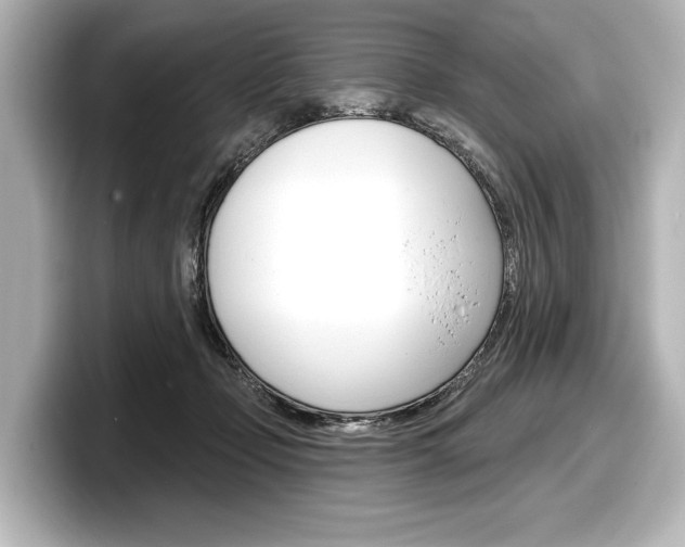 X0000098170365200804241014