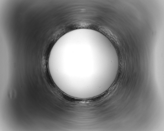 X0000098170366200804241014