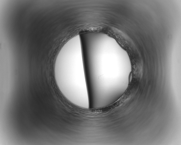 X0000098170368200804241014