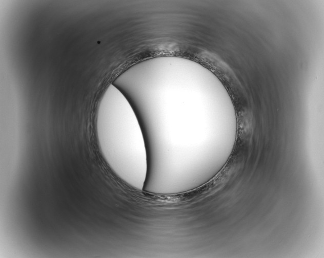 X0000098170369200804241014