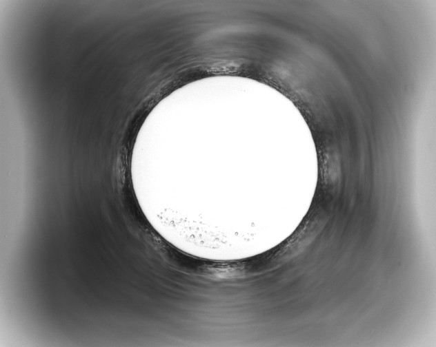 X0000098170370200804241014