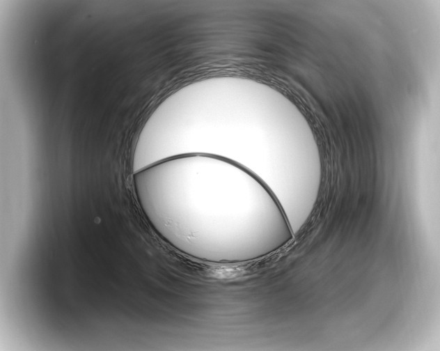 X0000098170372200804241014