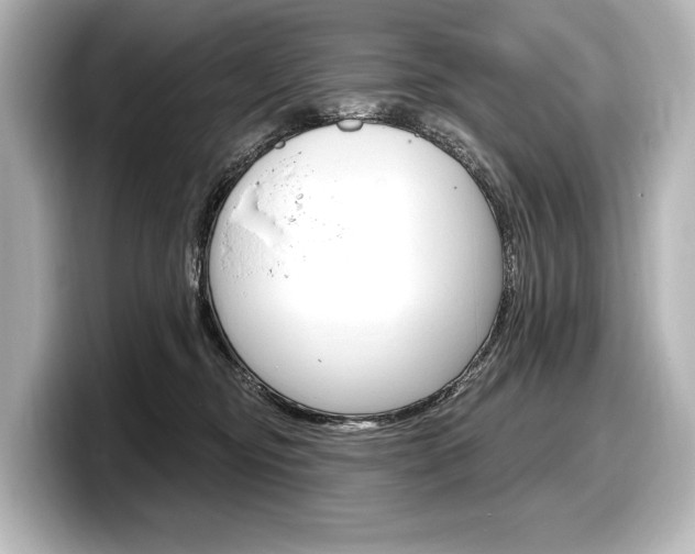 X0000098170374200804241014