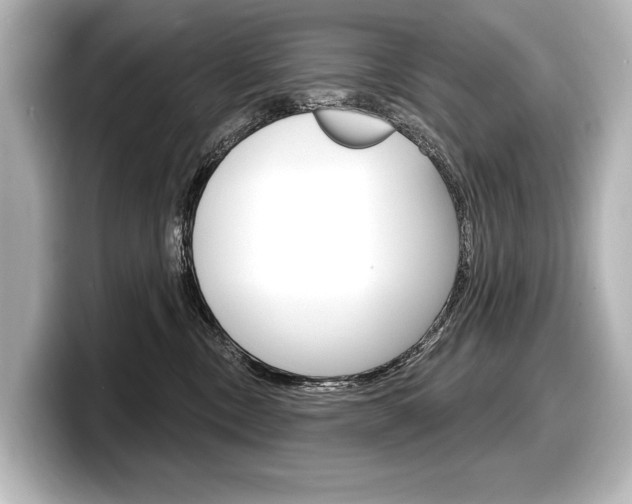 X0000098170378200804241015