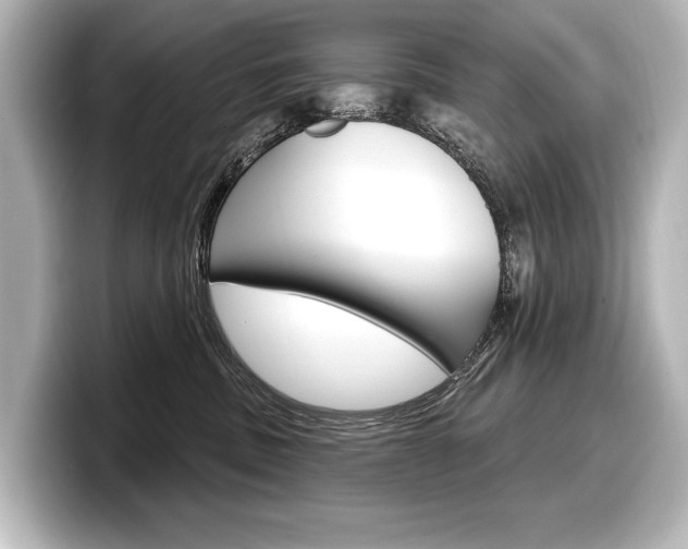 X0000098170379200804241015