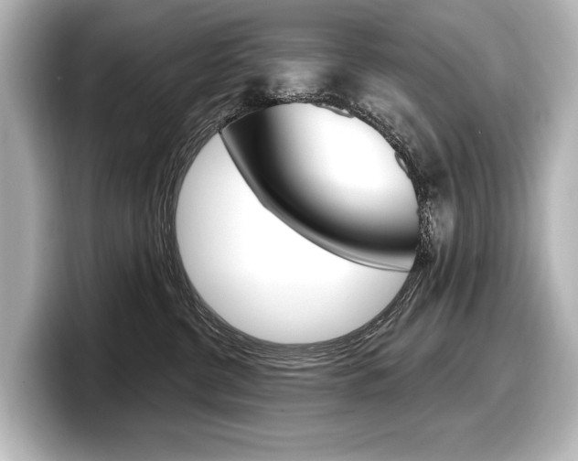 X0000098170380200804241015