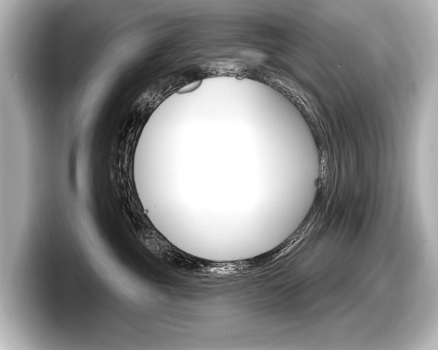 X0000098170381200804241015