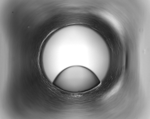 X0000098170387200804241014